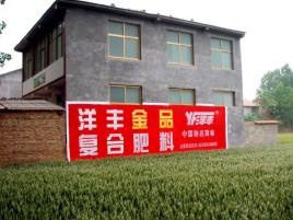珙县如何让墙体广告展现最大化效果