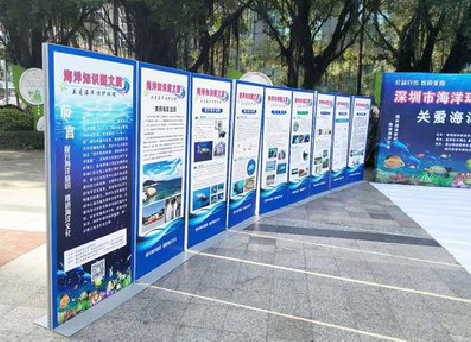 珙县KT板的种类和知识。